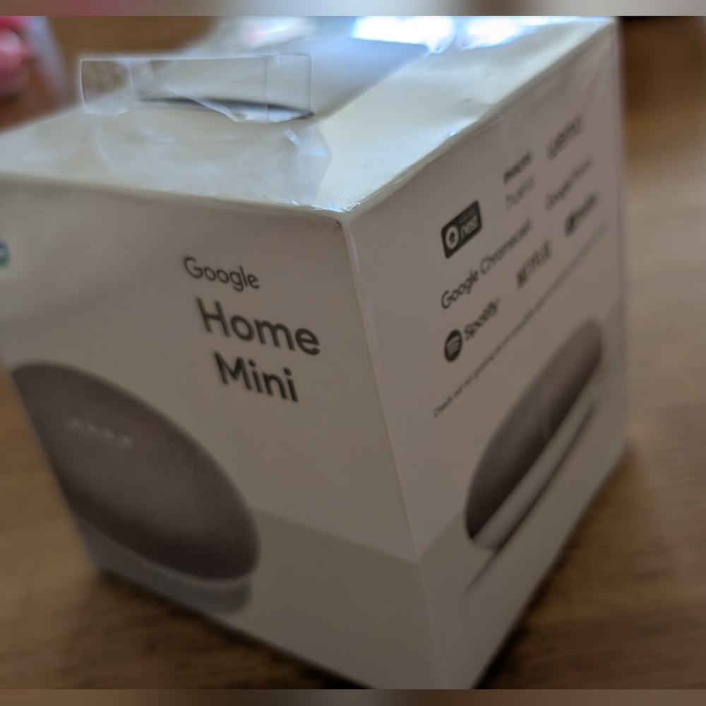 Unopened Box Google Home Mini